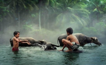 Khi không còn tiền, bạn sẽ ngộ ra rất nhiều điều!